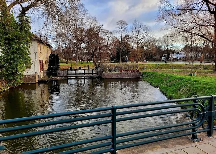 Дом отдыха Rosa *