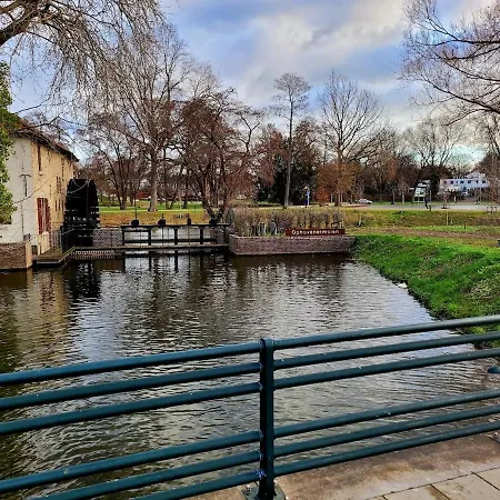 Semesterbostad Rosa *